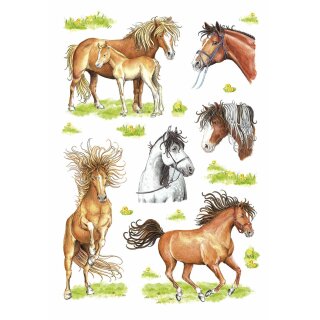 HERMA Sticker DECOR Gezeichnete Pferde