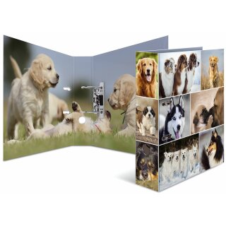 HERMA 7165 HERMA Ordner A4 Hunde