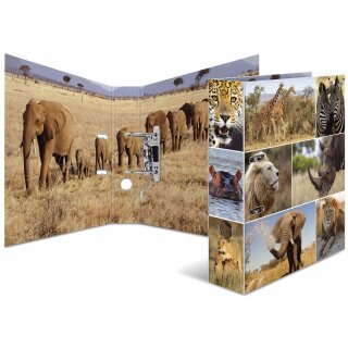 HERMA 7168 HERMA Ordner A4 Afrika Tiere